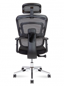 Ergo_New_5